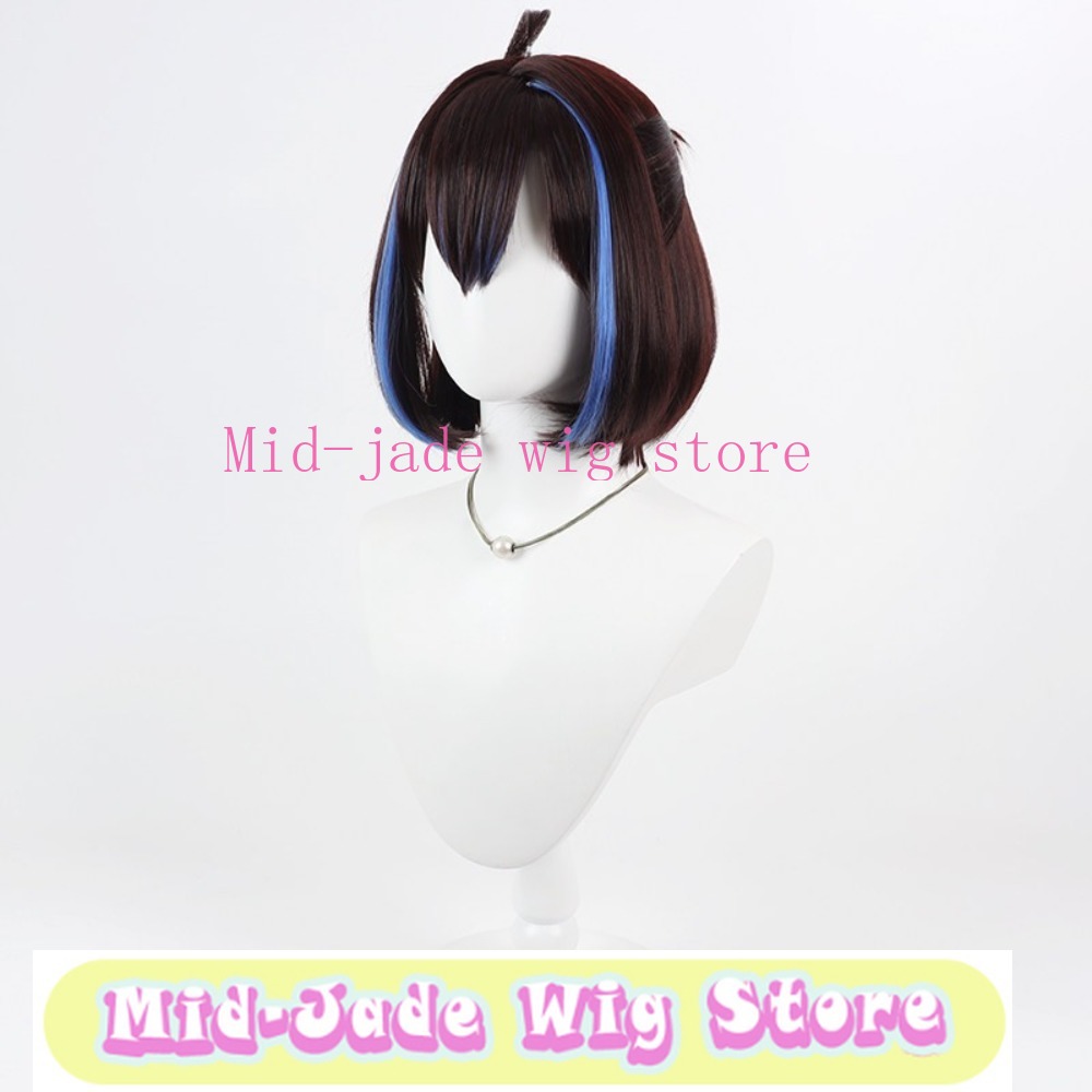 레이 코스프레 가발 갈색 긴 웨이브 가발 컨벤션 공연  - Anime Cosplay Realistic 리뷰 및 가격